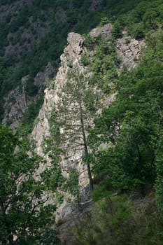 The wild and romantic Bode Valley in the Harz Mountains near Thale