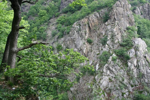 The wild and romantic Bode Valley in the Harz Mountains near Thale
