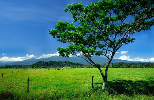 Central Highlands,Costa Rica