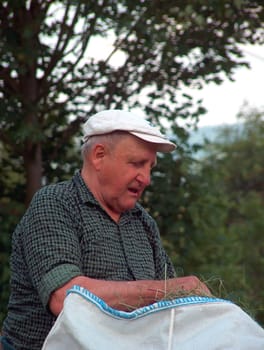 During the hay harvest