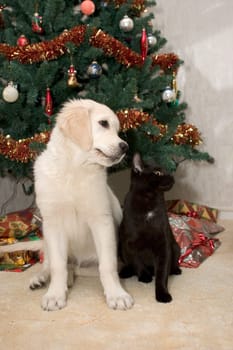 FRIENDS