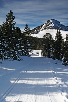 Schwarzhorn