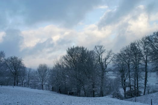 Winter