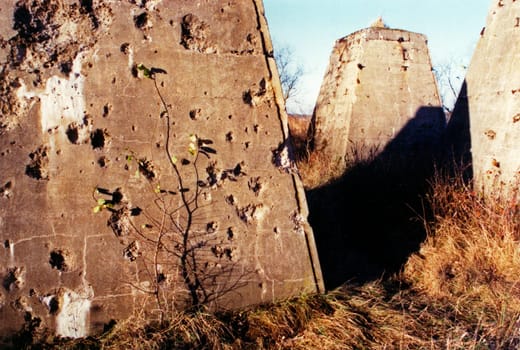 Scars of war