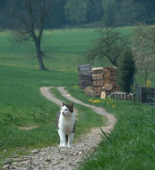 In the wide corridor