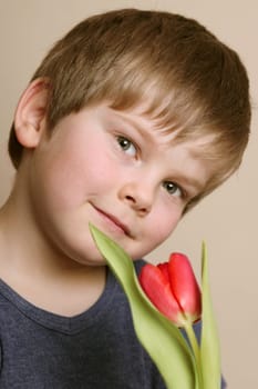 A tulip for you