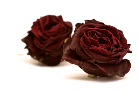 the roses are a bit older  ) not from yesterday *g*