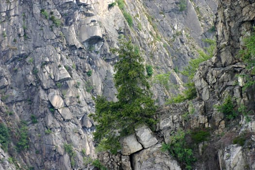 The wild and romantic Bode Valley in the Harz Mountains near Thale