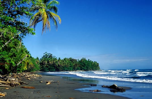 Caribbean,Costa Rica