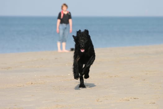 Run