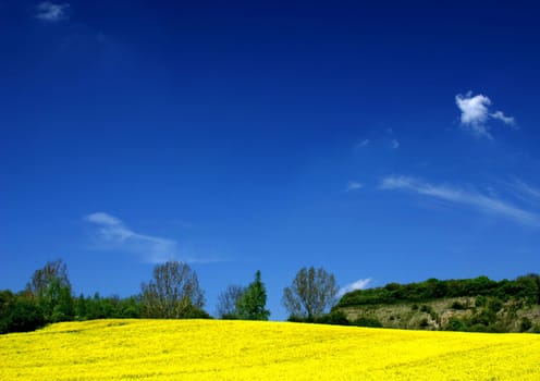 blue and yellow