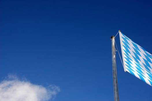 Flag in the wind