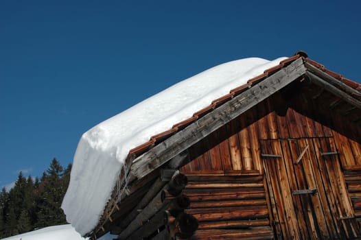 Igloo