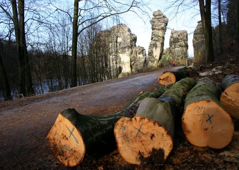 Around the Externsteine...