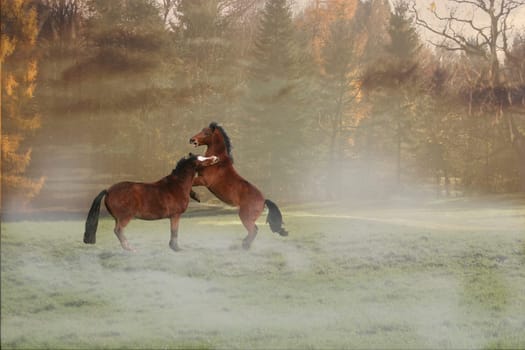 I've tried my hand at fog,but somehow I can't get it right I need your tips on how to insert fog into the picture.