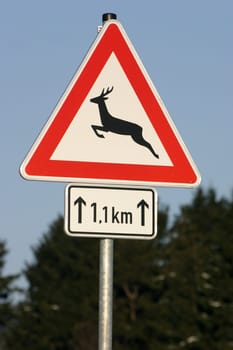 Traffic signs,danger of wildlife crossing