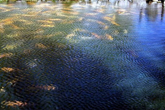Interesting abstract pattern,created by a sudden wind.