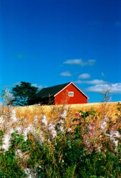 The house