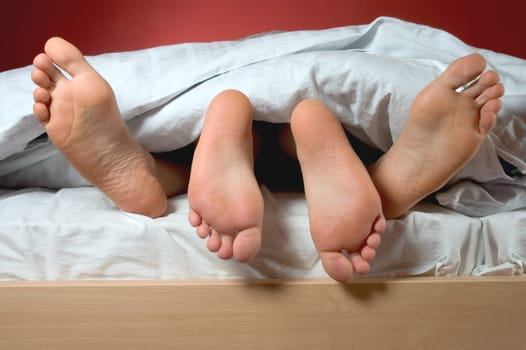 Feet