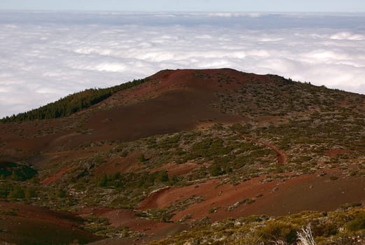 Above the clouds