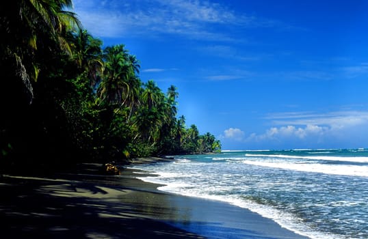 Cahuita National Park,Costa Rica