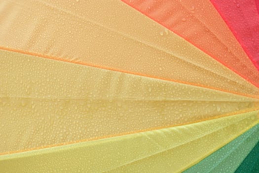 Wet and colorful
