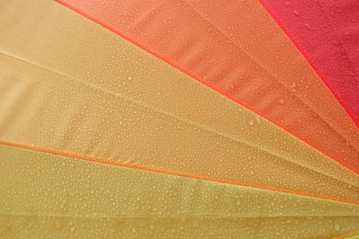 Colours