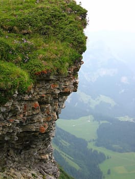 Height