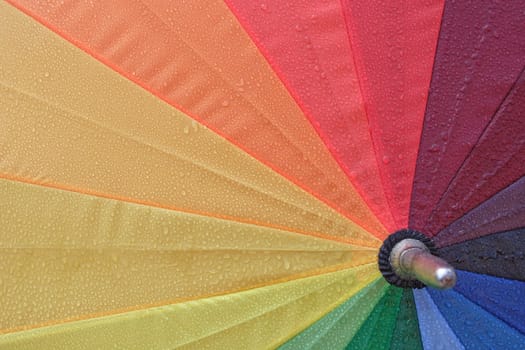 Umbrella