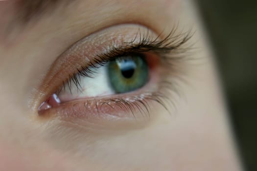 In Focus