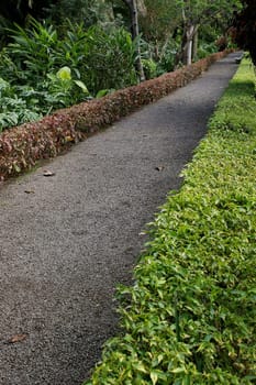 Across the garden