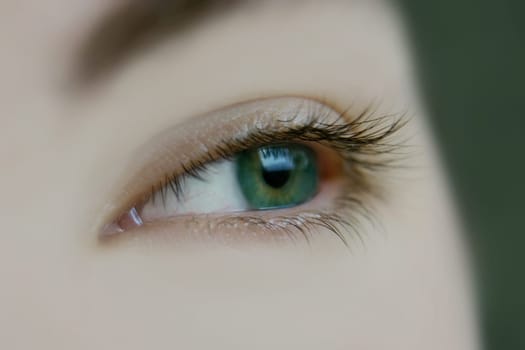 Blink