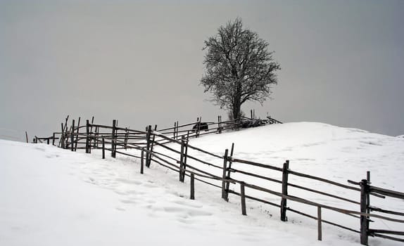 winter or winter snow or winter ice or winter deep snow