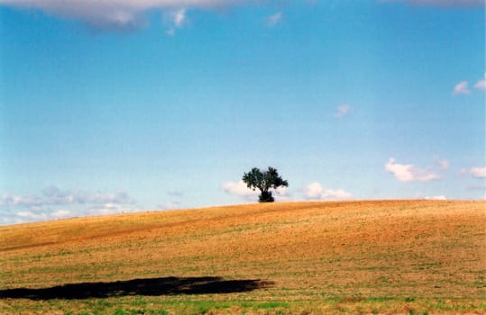 Heaven and field