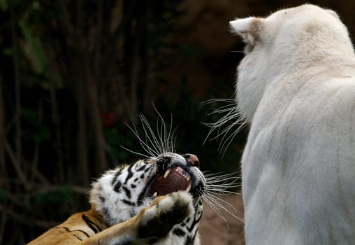 Don't hurt my territory