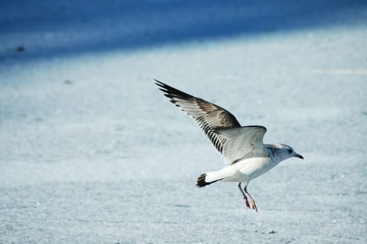Landing approach