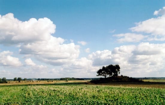 Heaven and meadow