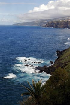 Wild Coast