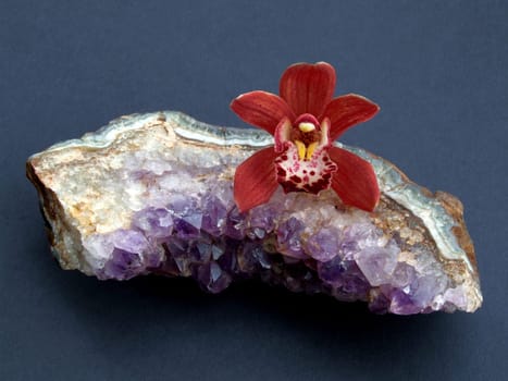 Reddish-brown cymbidium on a piece of an amethyst gland
