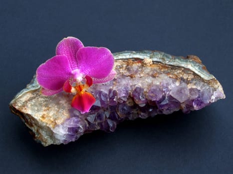 Phalaenopsis on amethyst crystals