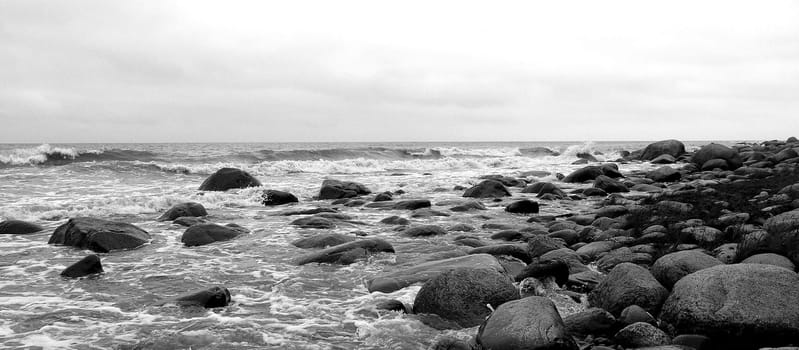 Rügen,Baltic Sea,near chalk cliffs 3177 x 1431 pixels