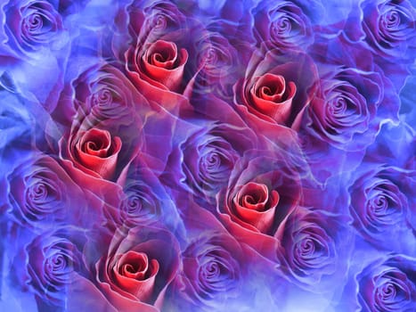 rosy gimmicks