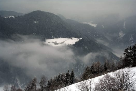 Fog