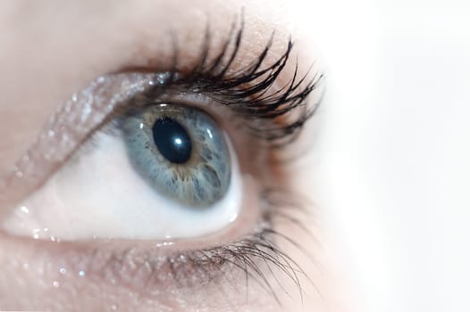 Eye 3