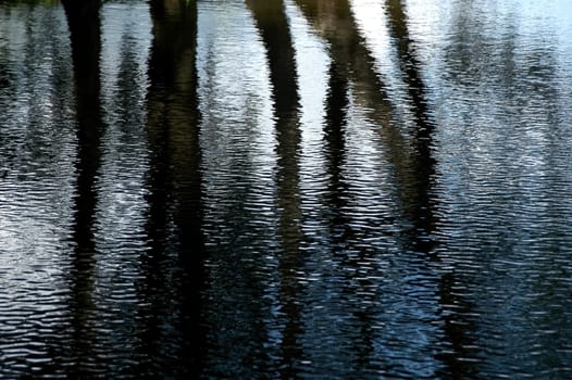 Reflection 02