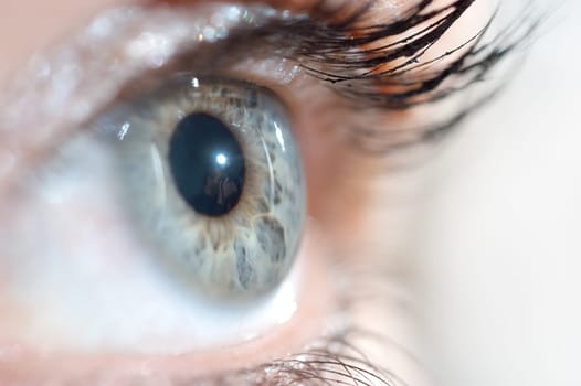 Eye 4