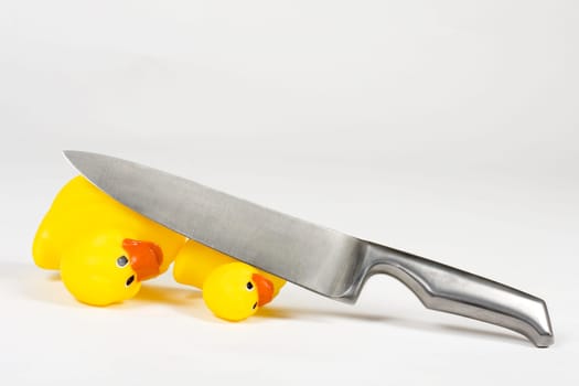 Avian influenza1