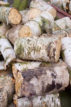 Making wood...