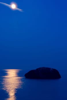 Moonlight