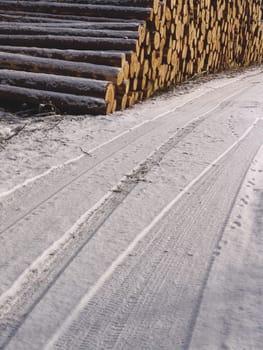 wood path